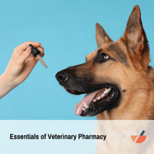 Essentials of Veterinary Pharmacy