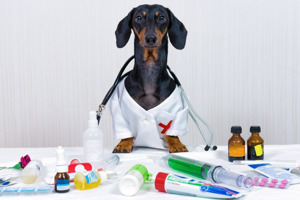 Veterinary Pharmacy Certificate, The Best Program Online from freeCE.com
