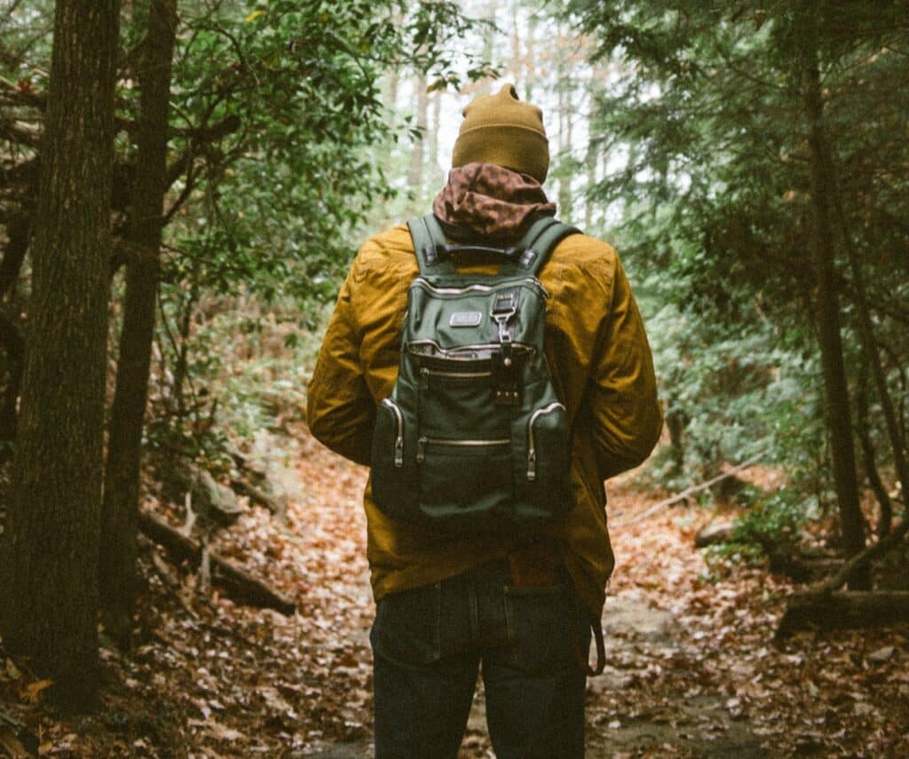 history of tick borne diseases